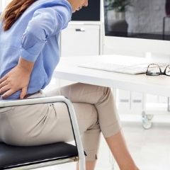 Workvie Ergonomic Chair Back Pain